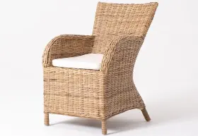 Bl-1849513 Beaumont Lane Dining Chair With Cushion In Natural Set Of 2