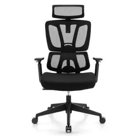 Ergonomic Office Chair N Type Lumbar Support Adjustable Headres 473510634920 With And Headrest-black