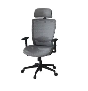 Fs-oc3-oc Flexispot Ergonomic Office Desk Chair Swivel Mesh Lumbar Support - Grey