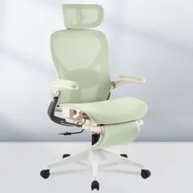 Ofc1-se Flexispot Foldex Ergonomic Office Chair With Lumbar Support Flip-up Armrests