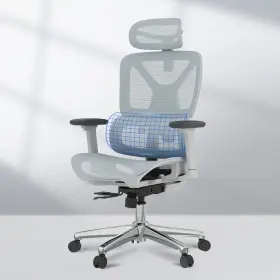 Ofc4-sd Flexispot Premium Ergonomic Office Chair Dynamic Lumbar Support Oc4-sd