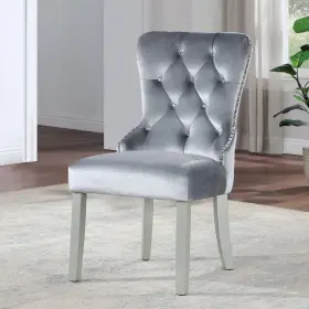 Furniture Of America 193578864676 Evangeline Glam Fabric Upholstered Side Chair Set 2