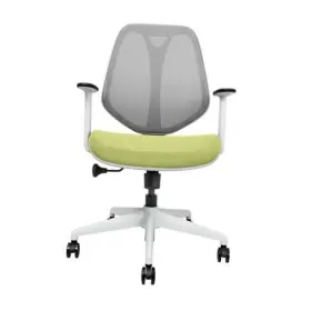 Goodtone 198715361001 Home Office Desk Chair Ergonomic Mesh Computer Task With Lumbar Green