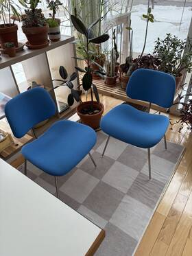 Herman Miller Eames Bd0107 Molded Plywood Dining Chair Dcm Upholstered Set Of 2