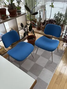 Bd0107 Herman Miller Eames Molded Plywood Dining Chair Dcm Upholstered Set Of 2