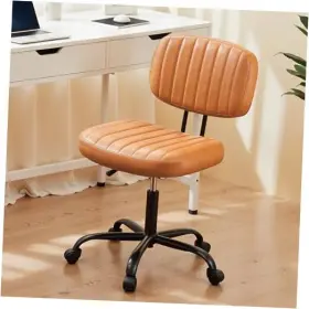 Home Office Desk Chairs 198401054644 Small Chair With Ergonomic Back Lumbar Support Height