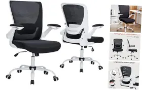 Ly-9008-wht-blk Layon Mesh Office Chair Ergonomic Desk With Adjustable Lumbar Support And Flip