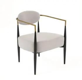 Lim-81866 Limari Home Tylees Collection Modern Fabric And Metal Dining Chair Light Grey Black Gold