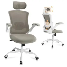 Au-gl-d6270-lgy-fb Malol Ergonomic Office Chair With Adjustable Lumbar Support And Headrest High Khaki