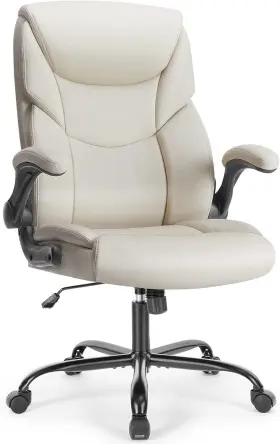 2892-wt Olixis Executive Office Chair Ergonomic Adjustable Computer Desk Chairs With Ivory