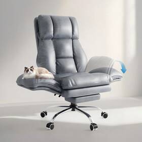 Patbrela Lbgyz01 Home Office Chair Ergonomic Computer With Footrest Adjustable Armrests New