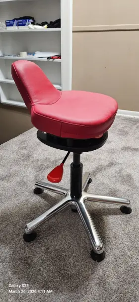 Qor360 Qor 360 Ariel 1.0 Leather Active Sitting Office/desk Chair