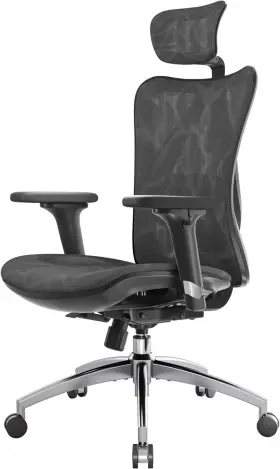 M57-m111 Sihoo Ergonomic Office Chair Mesh Desk With Adjustable Lumbar Support