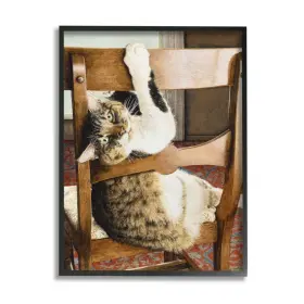 Stupell Industries 049182730770 Country Cat Lounging Wooden Chair Still Life Sueellen Ross Black Framed Wall