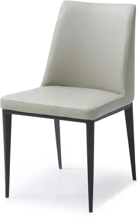 Whif-dc1478p-lgry Whiteline Modern Living Set Of 2 Faux Leather Dining Chair In White