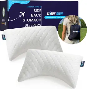 5152301 X Rocker Set Of 2 Mini Travel Size Neck Pillows - Knee Pillow Back Lumbar Support Cur