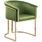 Meridian Furniture Tierra Olive Velvet Dining Chair New. Price: $352.40.