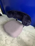 Moroso Pipe Armchair By Sebastian Herkner Designer Lounge Italy Used. Price: $1600.00.
