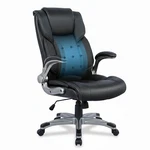 Colamy Ergonomic Executive Office Chair With Lumbar Support, Flip-up Arms, Bo... New. Price: $322.32.