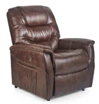 Golden Deluna Dione Large Electric Luxury Power Lift Chair Recliner PR446L New. Price: $1585.00.