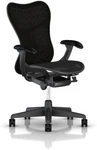 Herman Miller Mirra 2 -fully Loaded -refurbshed Approved By Madison Seating Seller. Price: $549.11.