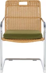 Coastal Olive Rattan Dining Chair - Elegant Home Collection Malou New. Price: $331.99.