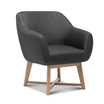 Nnedsz Aston Tub Accent Chair Charcoal Brand. Price: $357.49.