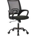 Jonpony Ergonomic Office Chair, Breathable Mesh Back, Adjustable Height, Padded New. Price: $33.00.
