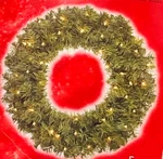 Home Accent 24" 35 Clear Lights Noble Fir Indoor Outdoor Wreath & Storage Case New. Price: $42.51.