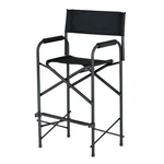 E-z Up Tall Directors Chair, Seat 31 High, Padded Armrests And Storage Bag, New. Price: $206.20.
