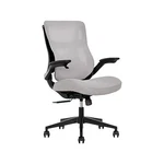 Beautyrest Ergomax Ergonomic Mesh/fabric Swivel Task Chair, Gray (60078-GRY) New. Price: $199.98.