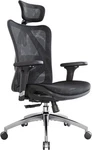 Sihoo M57 Ergonomics Office Chair Adjustable Headrests - Black New. Price: $185.00.