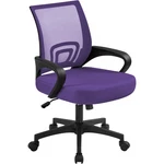 Yaheetech Ergonomic Mesh Office Chair With Lumbar Support Armrest Wheels, Purple New. Price: $140.60.