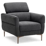 Modern Upholstered Single Sofa With Adjustable Headrest And Metal Legs-wh New. Price: $281.48.