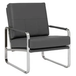Studio Designs Home Allure Modern Accent Chair In Blended Leather, Chrome/smo... New. Price: $460.37.