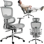 Ergonomic Mesh Office Chair With Footrest & Lumbar Support - Modern Grey New. Price: $283.99.