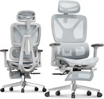 Flexispot Ergox Ergonomic Office Chair Footrest 3D Armrests Blue New. Price: $242.23.