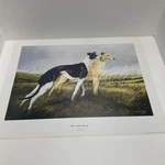 Unframed Print Greyhounds The Noble Breed 1994 Signed By David French Used. Price: $16.66.