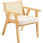Mid Century Modern Rattan Chair, Upholstered Velvet Accent With Bac New. Price: $251.69.
