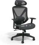 Dexley Ergonomic Mesh Swivel Task Chair, Black (UN56946) New. Price: $223.99.