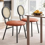 Modern Rattan Dining Chairs Set Of 2, Pu Leather Upholstered, Black & Brown New. Price: $143.99.
