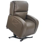 Golden Tech PR761-MLA Ez Sleeper Twilight Lift Chair Recliner Brisa Shitake Ush New. Price: $3464.00.