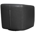 Armen Living Aries 17" Modern Leather Swivel Barrel Chair Pewter New. Price: $1045.33.