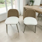 Tov Alexa Rattan Performance Fabric Dining Chair Set Of 2 Used. Price: $122.80.