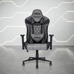 Ergonomic Gaming Chair, Height Adjustable, Gray W/ Lumbar & Neck Pillows New. Price: $310.88.