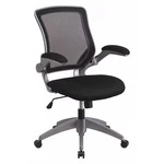 Mesh Task Chair, 21-, Padded Flip-up, Back, Seat: Black; Frame: Gray Flash New. Price: $208.31.