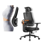 Ergonomic Home Office Chair, High Back Desk With Unique Adaptive Lumbar... New. Price: $409.41.