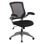 Flash Furniture BL-ZP-8805-BK-GG Office CHAIR,42.25 In H,gray 420G10 New. Price: $227.47.