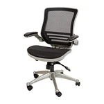 Flash Furniture Executive Office Chairs, Black Mesh/graphite Silver Frame Used. Price: $193.20.