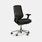 Branch Ergonomic Chair Black Mesh Adjustable Lumbar 8-POINT Home Office New. Price: $240.00.
